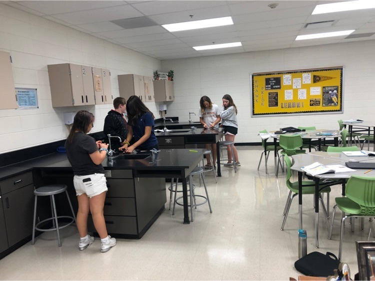 7th graders “digging” for fossils